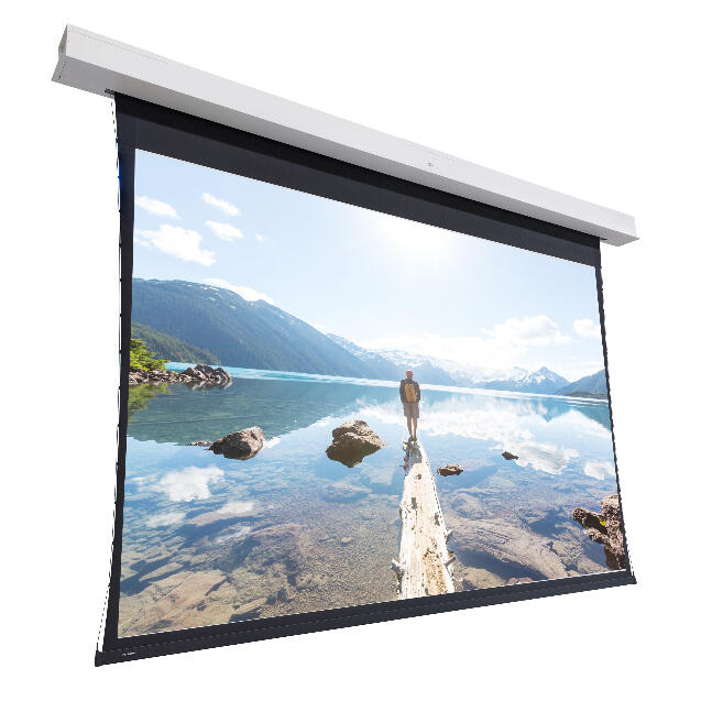 PANTALLA DALITE DESCENDER LARGE ELECTROL 219X390 MATTE WHITE 16:9_0